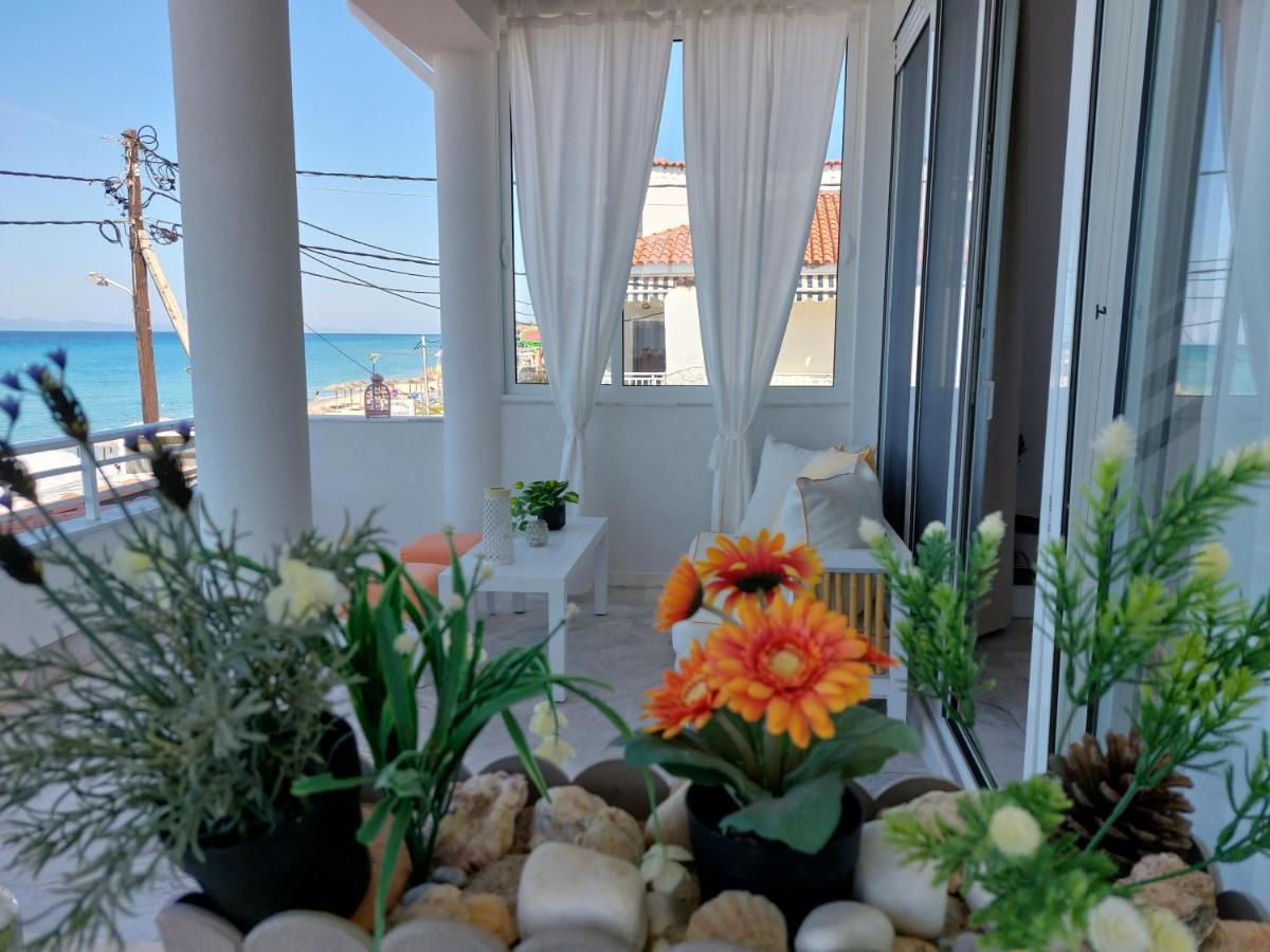 Nefeli Seaside Apartments Polychrono Zewnętrze zdjęcie
